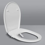 What maintenance tips are recommended for the HOROW B0406 WC-Sitz mit Bidetfunktion?